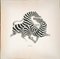 Victor Vasarely, Zebra Couple, años 80, Serigrafía, Imagen 1