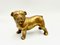 Bulldog Briefbeschwerer oder Statue aus Messing, 1940er 1