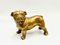 Statua o fermacarte Bulldog in ottone, anni '40, Immagine 1