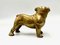 Bulldog Briefbeschwerer oder Statue aus Messing, 1940er 2