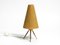 Mid-Century Brass Tripod Table Lamp, 1950s 2