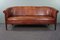 2,5-Seater Club Sofa in Cognac Cowhide Leather 1