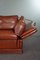 2 Seat Castle Bank Made from High -Quality Cattle Lecturer in Cognac Color 10