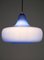 Large Blue Murano Glass Pendant by Alessandro Pianon for Vistosi, Italy, 1960s 6