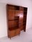 Mid-Century Wall Unit from Simplalux, 1960s, Image 3