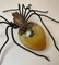 Mid-Century Spider Wall Lamp, 1950, Image 8