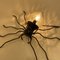 Mid-Century Spider Wall Lamp, 1950s, Image 3