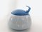 Tac Tea Service in Blue/White by Walter Gropius for Rosenthal, 1980, Set of 23 13