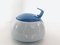 Tac Tea Service in Blue/White by Walter Gropius for Rosenthal, 1980, Set of 23, Image 13