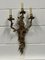 Large Antique French Style Wall Light, Image 1