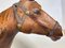 Modello Cavallo in Pelle, Immagine 3
