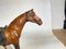 Horse Model in Leather 13