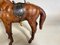 Horse Model in Leather 7