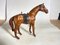 Modelo de caballo en cuero, Imagen 12