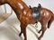 Horse Model in Leather 6