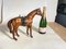 Modello Cavallo in Pelle, Immagine 11
