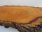 Large Tree Trunk Coffee Table, 1960s 5