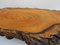 Large Tree Trunk Coffee Table, 1960s, Image 5