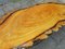 Large Tree Trunk Coffee Table, 1960s, Image 9