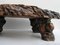 Large Tree Trunk Coffee Table, 1960s 7