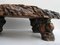 Large Tree Trunk Coffee Table, 1960s, Image 7