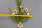 Applique a due luci con bouquet di fiori bianco papavero e verde grano, Italia, anni '60, Immagine 11