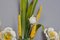 Applique à Deux Lumières Bouquet de Fleurs Vertes et Coquelicots Blancs Toleware, Italie, 1960s 8