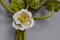 Applique à Deux Lumières Bouquet de Fleurs Vertes et Coquelicots Blancs Toleware, Italie, 1960s 7