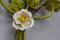 Italian Toleware White Poppy and Wheat Green Floral Bouquet Two-Light Sconce, 1960s, Image 7