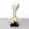 Italian Modern Wooden Sculpture of a Bone by N. F. Puccio, 1990s 3