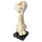 Italian Modern Wooden Sculpture of a Bone by N. F. Puccio, 1990s 1