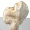 Italian Modern Wooden Sculpture of a Bone by N. F. Puccio, 1990s 7