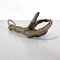Italian Bronze Claw Game-Holder with Hook, 1800s 12