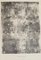 Lithographie Jean Dubuffet, Végétation Primordiale, 1959 1