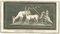 Aniello Cataneo, Animals Pompeian Fresco, 18th Century, Etching 1