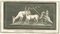 Aniello Cataneo, Animals Pompeian Fresco, 18th Century, Etching, Image 1