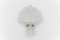 Greman Mussel Wandlampe aus Muranoglas von Doria Leuchten, 1960er 5
