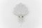Greman Mussel Wandlampe aus Muranoglas von Doria Leuchten, 1960er 1