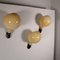 Parola Wall Lights by Piero Castiglioni and Gae Aulenti for Fontana Arte, Set of 3 8