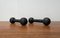 Mid-Century Dumbbells, 1960s, Set of 2 3