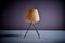 French Fiberglass Chair by Jean-René Picard for S.E.T.A, 1950s 9