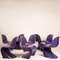 Chairs by Verner Panton Chairs for Herman Miller, 1971, Set of 8 1