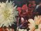 Paul Robert Bazé, Dahlias and Camellias, 1970s, Oil on Board, Framed 12