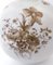 Ivory Ceramic Vase with Brown Floral Details from Rosenthal, Italy, 1943 15