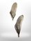 Apliques Art Déco de plumas de pavo real de Ejg {Jean Gauthier}, 1930. Juego de 2, Imagen 1