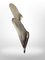 Apliques Art Déco de plumas de pavo real de Ejg {Jean Gauthier}, 1930. Juego de 2, Imagen 12