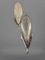 Apliques Art Déco de plumas de pavo real de Ejg {Jean Gauthier}, 1930. Juego de 2, Imagen 10