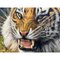 Mark Whittaker, Tiger in the Wild, 1997, Pittura a olio originale, Immagine 9