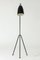 Vintage Grasshopper Floor Lamp by Greta Grossman for Bergboms, 1950s 3