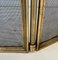 Neoclassical Style Fire Screen in Brushed Steel, Brass and Mesh in the style of Maison Jansen, 1940s 11